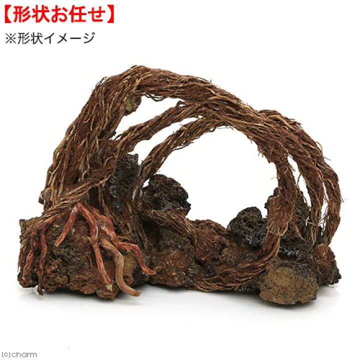 楽天市場 アウトレット品 カミハタ ダイナミック スケープ ウッド 形状おまかせ 流木 30 16 21cm 訳あり 沖縄別途送料 関東当日便 Charm 楽天市場店 楽天市場 アウトレット品 カミハタ ダイナミック スケープ ウッド 形状おまかせ 流木 30 16 21cm 訳あり 沖縄別途送料 関東当日便 Charm 楽天市場店