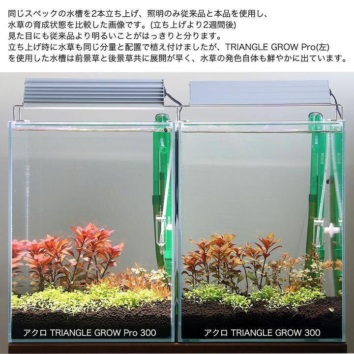 楽天市場】アクロ TRIANGLE LED GROW Pro 300 