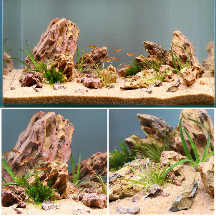楽天市場 水草 45cm水槽用レイアウト フルセット 砂漠のオアシス お一人様1点限り 本州四国限定 Charm 楽天市場店 楽天市場 水草 45cm水槽用レイアウト フルセット 砂漠のオアシス お一人様1点限り 本州四国限定 Charm 楽天市場店
