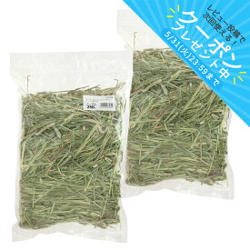 令和7年産　スーパープレミアムホースチモシー　チャック袋　250g×2袋（500g）　牧草　うさぎ　お一人様10点限り　一番刈り　高品質　関東当日便