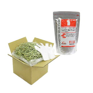 nX^[ZNV@400g{@܂`V[irj[ܕtj1kg@q@nX^[t[h@@GT@a@ll4_@֓