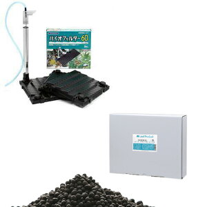 ȒPɎ@[tv\C@m[}@8L{oCItB^[60@Mы@pi@֓