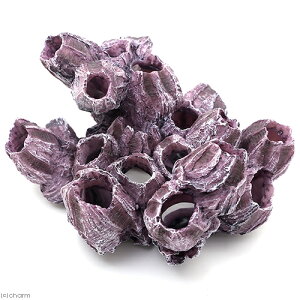 [XC@ZEST@vJTS@M|5@p[vzCg@֓