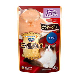銀のスプーン　三ツ星グルメ　パウチ　ポタージュ　15歳頃から　まぐろ　35g×16袋　関東当日便