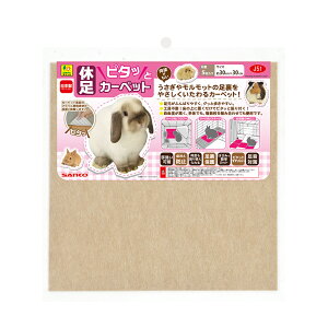 OW@xs^bƃJ[ybg@30×30cm@5@֓