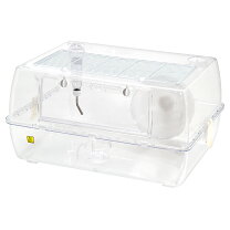 ゲージ ラットの通販