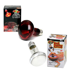 ۉoXLOv@75W@ZOOMED@ԊOۉd@Ctbhq[gv{veB@oXLOX|bgv@֓