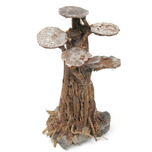 `󂨔C@CAEg~͗؁@tbg^Cv@LTCY@1{@CAEgfށ@֓