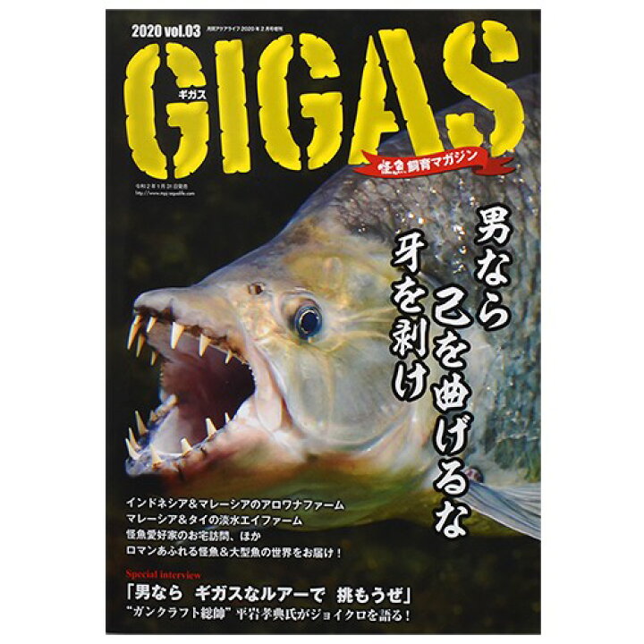 楽天市場 怪魚飼育マガジン ｇｉｇａｓ ギガス ２０２０ ｖｏｌ ０３ 関東当日便 Charm 楽天市場店