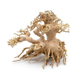 カミハタ 水景BONSAI 五葉松 Sサイズ 流木 活着 レイアウト 水草 アクアリウム 水槽 関東当日便