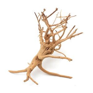 J~n^@`󂨔C@xgiY@}؁@S@12`18cm@ANAE@@֓