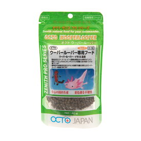 楽天市場 ウーパールーパー 成体 ペット ペットグッズ の通販