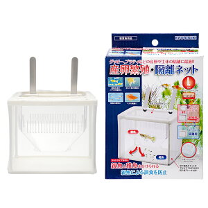 RguLH|@YɐBEulbgL@֓