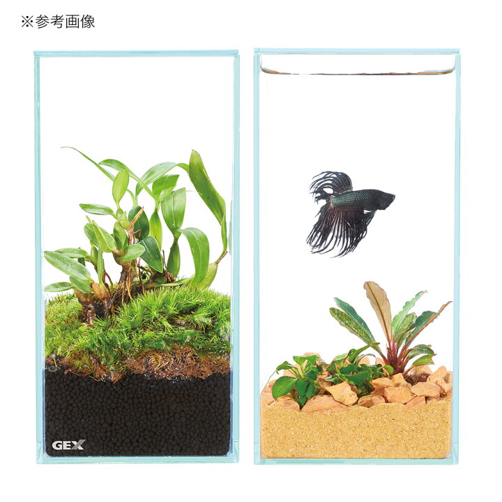 数量限定アウトレット最安価格 ｇｅｘ グラステリア フィット １００ｃｕｂｅ Riosmauricio Com