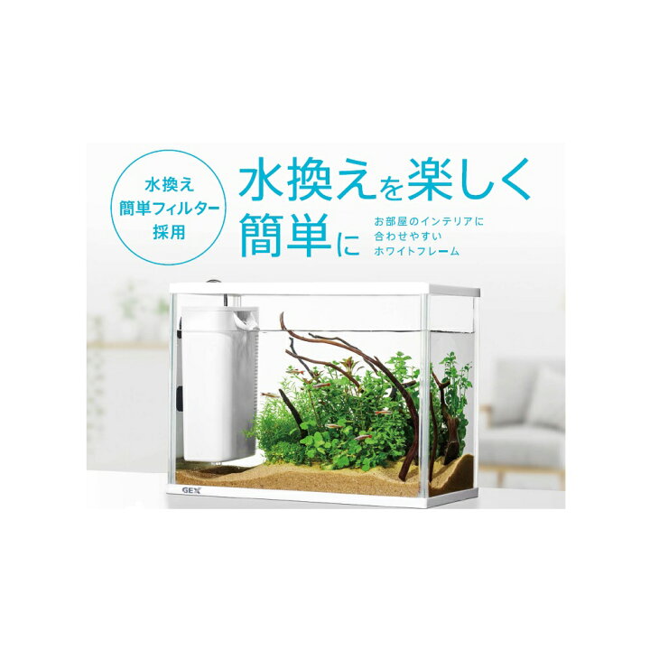 キャンペーンもお見逃しなく 全国送料無料 GEX 水槽セット ラクフィル水換え簡単セット 400WH 新商品 discoversvg.com キャンペーンもお見逃しなく 全国送料無料 GEX 水槽セット ラクフィル水換え簡単セット 400WH 新商品 discoversvg.com