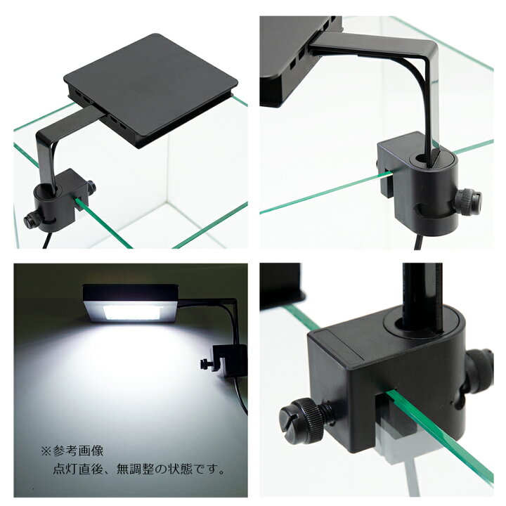楽天市場】GEX LED FLUVAL PLANT NANO 