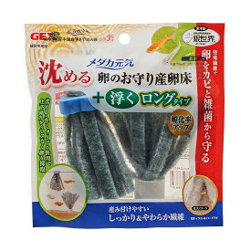 楽天市場 メダカ たまごの通販