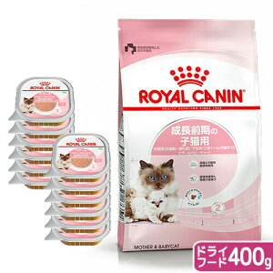 CJi@L@O̎qLphCEFbgZbg@hC400g@Wbv{EFbg100g×12@֓