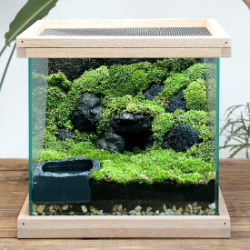 イモリウム　〜イモリの洞窟〜　レイアウトセット　お一人様2点限り　関東当日便