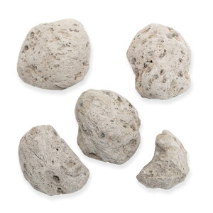 形状お任せ 加工しやすい 浮石 SS 5個 軽石 盆栽 テラリウム パルダリウム 関東当日便