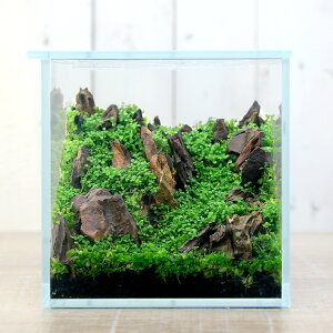 ij{ih{geE̊b@`j[[Wp[OX̑`@{Bl