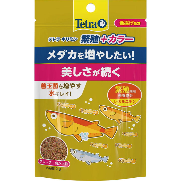 楽天市場 テトラ キリミン 繁殖 カラー ２０ｇ メダカの餌 繁殖 関東当日便 Charm 楽天市場店