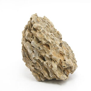 `󂨔C@zΐ΁@LTCYi20`25cmj@1@ANAE@CAEgfށ@֓