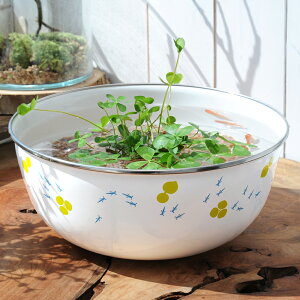 irIg[vji߂jz[[{[ƃ`JkM܃_JZbg@{Bl