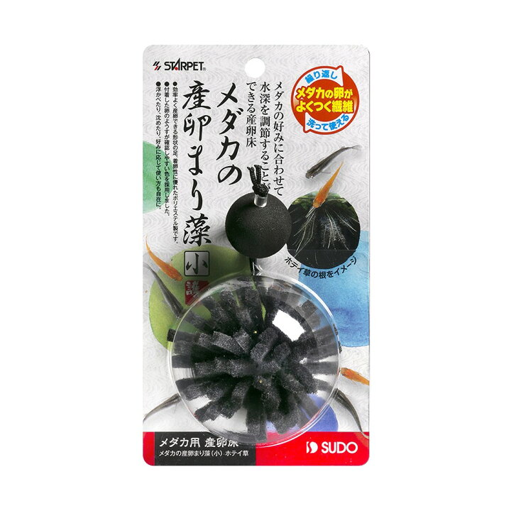 楽天市場 スドー メダカの産卵まり藻 小 ホテイ草 関東当日便 Charm 楽天市場店