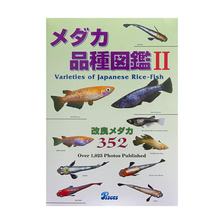 楽天市場 メダカ品種図鑑２ 関東当日便 Charm 楽天市場店