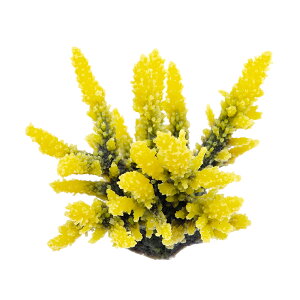 LSS@vJTS@X[R[@TR|mini2@Y@֓