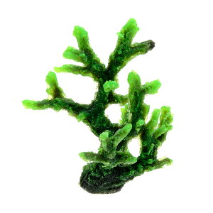 LSS@vJTS@X[R[@TR|mini14@G@֓