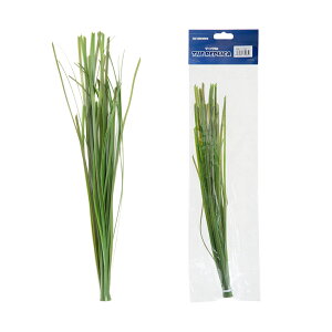 LSS@vJTS@OX@TR|S2@37cmo@֓