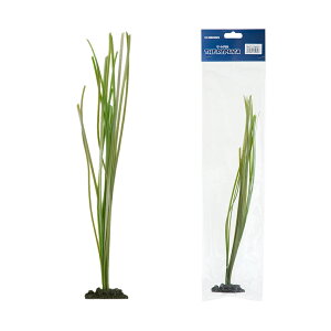 LSS@vJTS@OX@TR|S2@37cm@t@֓