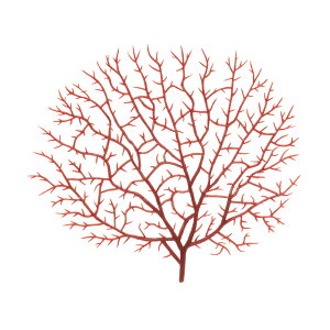 LSS@vJTS@V[t@@TR|1@R@֓