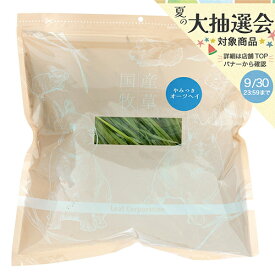 国産　やみつきオーツヘイ（えん麦）　100g　牧草　うさぎ　モルモット　USAYAMA　関東当日便