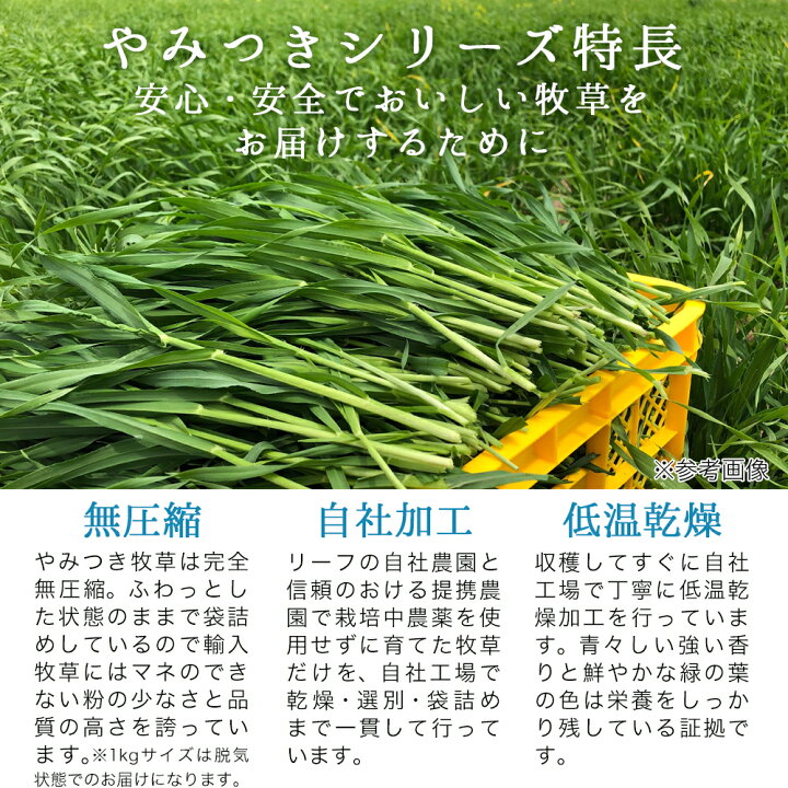 2021新作モデル 自然栽培 乾燥オーツヘイネコポスいっぱい ecouterradio.fr