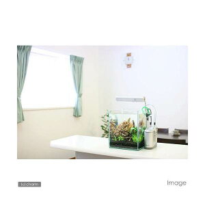 ij炭炭^pZbgitji_ji1Zbgj