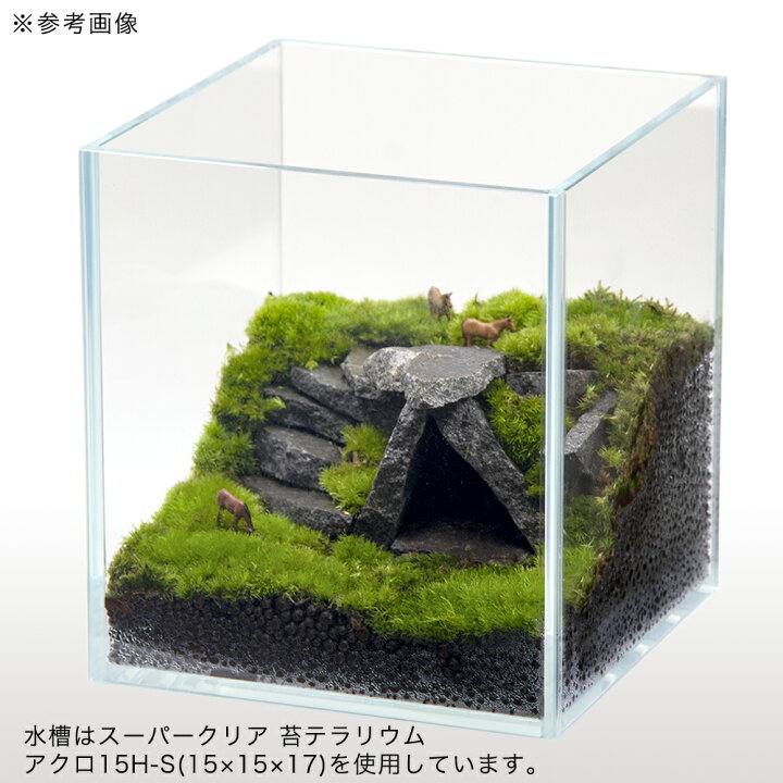 楽天市場】輝板石 ボトルアクア用 500g 形状お任せ 小型水槽 