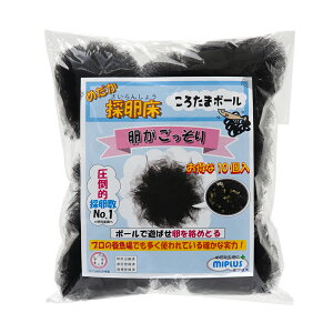 ~vX@낽܃{[@߂̗@TYPE|A@m[}@10P@֓