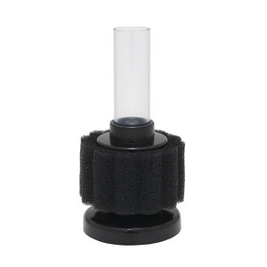 LSS@{́@LSSX|WtB^[@LS|5S@GA[V@֓