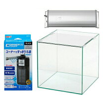 楽天市場】熱帯魚 プレコ（水槽セット｜水槽・アクアリウム）：熱帯魚 