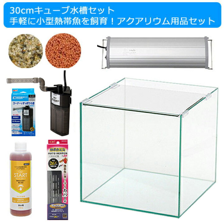 楽天市場 ３０ｃｍキューブ水槽セット 手軽に小型熱帯魚飼育 アクアリウム用品 水槽 ｌｅｄライト 他５点 プロ推奨 初めての飼育セット 沖縄別途送料 関東当日便 Charm 楽天市場店