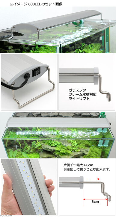 楽天市場】60cm水槽セット 本格派アクアリウム用品3点（水槽 