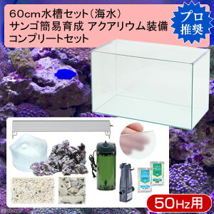 （海水魚）60cm水槽セット　サンゴ簡易育成コンプリート　海水アクアリウム（水槽＆他11点）プロ推奨セット　50Hz東日本用　本州四国限定