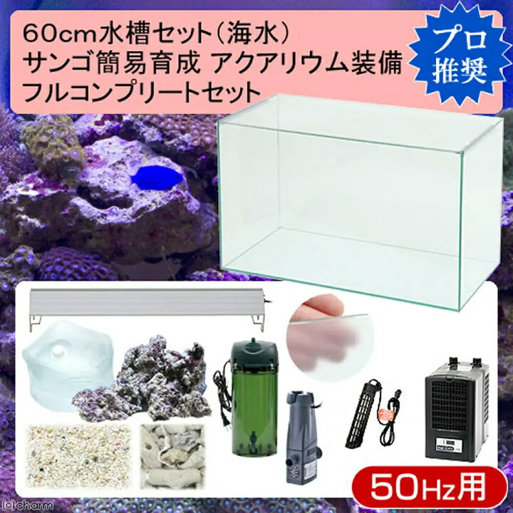 楽天市場 海水魚 ６０ｃｍ水槽セット サンゴ簡易育成フルコンプリート 海水アクアリウム 水槽 他１３点 プロ推奨セット ５０ｈｚ東日本用 本州四国限定 Charm 楽天市場店
