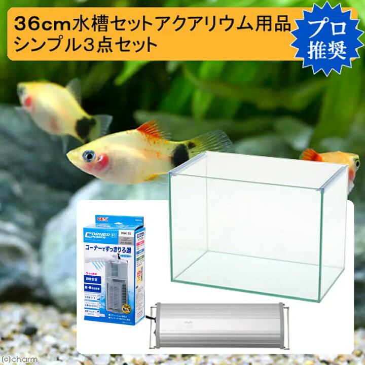 楽天市場】36cm水槽セット アクアリウム用品シンプル3点  