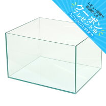楽天市場】アクリル水槽 600 450 450の通販