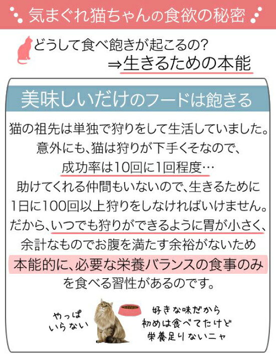 楽天市場】ロイヤルカナン FHN−WET 室内で生活する中高齢猫用 インドア7+ ローフ 85g 室内猫 ウェット お一人様5点限り 関東当日便 : charm 楽天市場店 楽天市場】ロイヤルカナン FHN−WET 室内で生活する中高齢猫用 インドア7+ ローフ 85g 室内猫 ウェット お一人様5点限り 関東当日便 : charm 楽天市場店