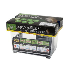 楽天市場 ミジンコの通販